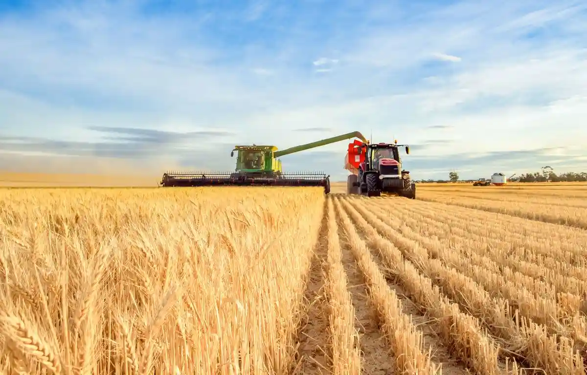 Cât câștigă un fermier cu 10 hectare în 2026 – calcul real, fără înfrumusețări