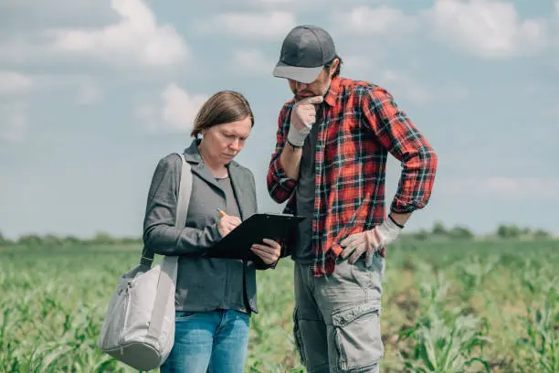 Credite pentru fermieri cu dobândă de 2% și ROBOR plătit de stat: ce pregătește Ministerul Agriculturii