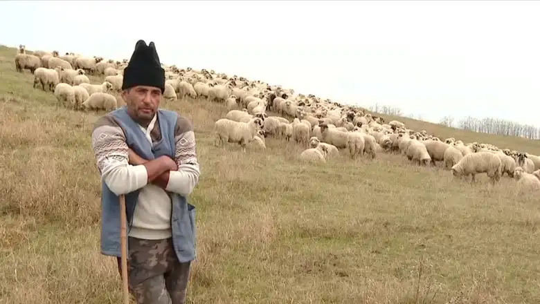 Subvenția APIA pe pășune în chirie — cine o primește când pășunea e la asociație, nu la fermier